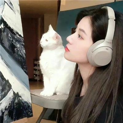 情感阴谋